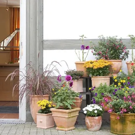 Ξενοδοχείο με διαμερίσματα Gda Schwiecheldthaus Γκόσλαρ