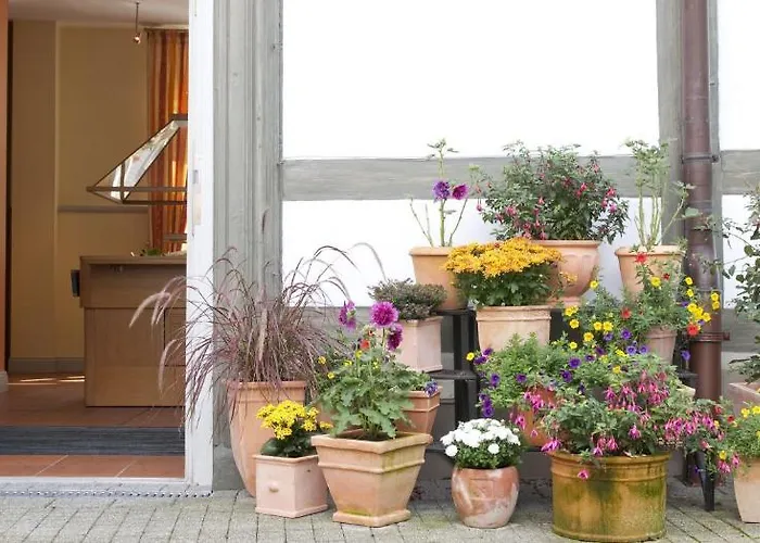 Lejlighedshotel Gda Schwiecheldthaus Goslar